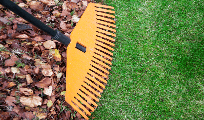 Cheyo Landscaping